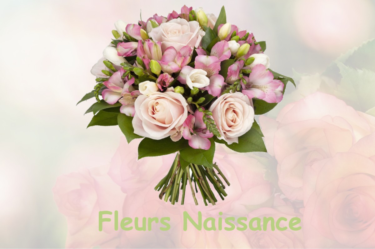 fleurs naissance SAINT-MARC-A-LOUBAUD